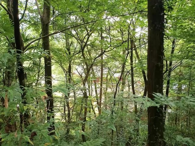 衢州柯山宝岩寺记