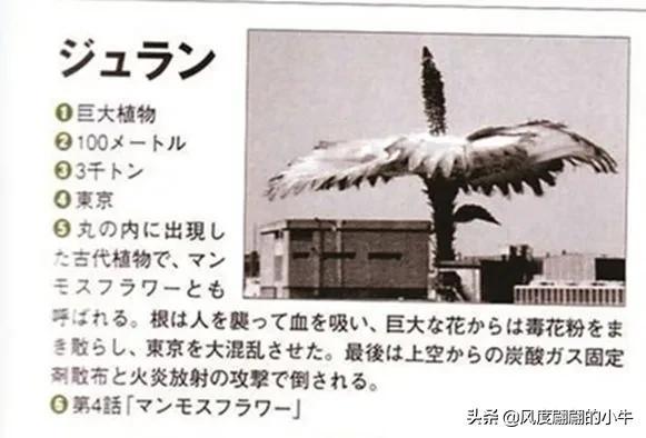 奥特Q怪兽图鉴