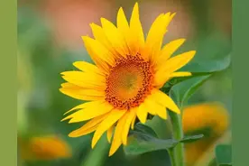 从深爱到冷漠，男人的转变，女人是有“责任”的图片