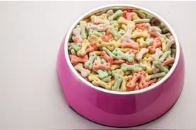 宠物食品，是不是个好赛道？图片