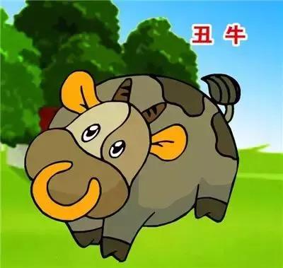生肖牛最心疼的是什么人？