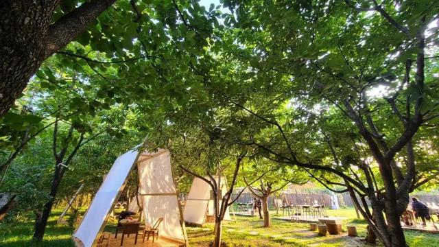 乡约长安 最美民宿——建设西部强区的见证者 首届手机摄影大赛