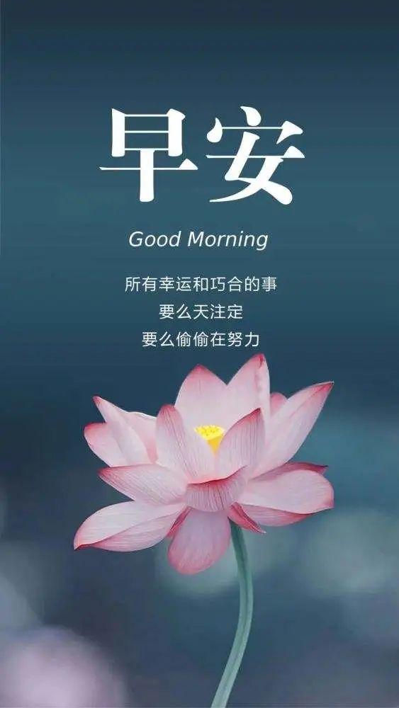 24」早安心语,正能量最棒语录句子 早上好文案说说图片