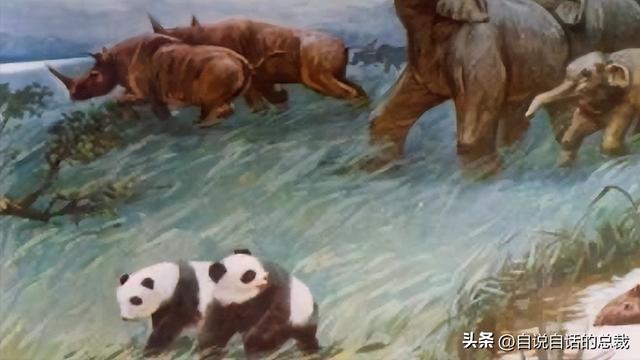 熊猫：真实存在的上古恐惧，为什么只有人类觉得大熊猫很可爱？