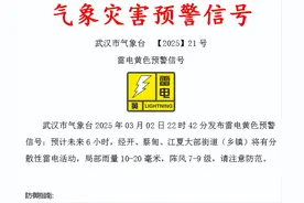 雷雨+9级大风！武汉交警发布出行提醒：今天，请提前半小时出门图片