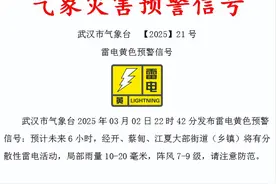 雷雨+9级大风！武汉交警发布出行提醒：今天，请提前半小时出门图片