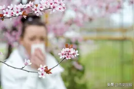 花粉过敏就是沾了花？真正的“元凶”是树和草图片