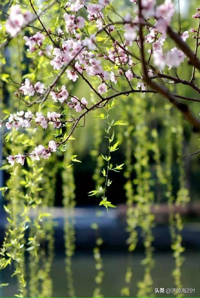 晴和是什么意思（山水诗鼻祖谢灵运的一首诗）