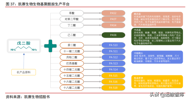 颠覆传统，合成生物：迎来历史发展机遇，乘势而起，引领未来