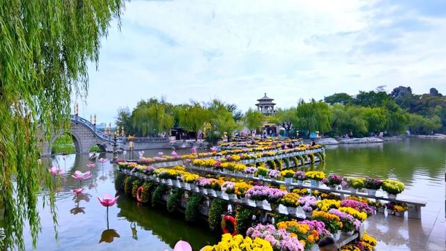 待到重阳日，还来开封赏菊花