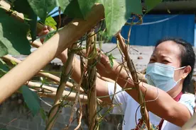 红河好人 | 平么妹：用爱诠释“孝老爱亲”的良好品质图片
