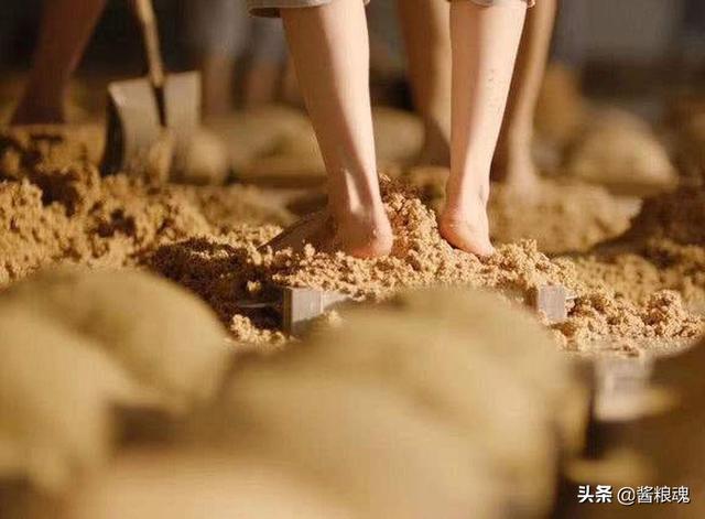 酱粮魂知识｜何为大曲？何为小曲？