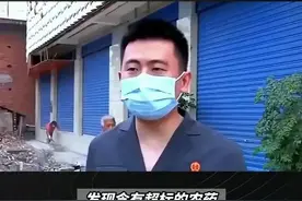河南洛阳：卖菜大爷赚21被罚11万，当地政府市监局将做统一回应图片