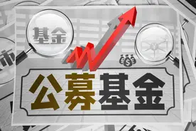 公募基金，实时估值传闻不再显示，赎回潮会来临吗？图片