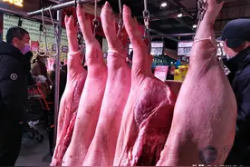 压死生猪价格最后一根稻草是牛肉，为什么？2023年6月9日生猪行情图片