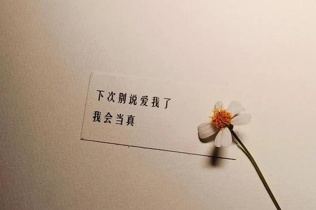 ����Ȧ�Ƽ����İ�