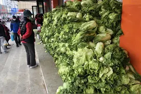 原来保存大白菜很简单，牢记3招，放半年也新鲜，不烂菜也不长芽图片