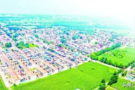 【年终特稿 2022·回声】高擎精神火炬 传承红色基因图片