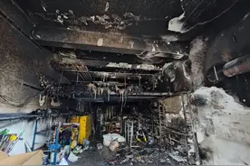 实惨！凌晨两点，蚊驱了，家没了！图片