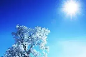 高级职称评审硬件条件之一导致教师的年度优秀考核失去了应有之义图片