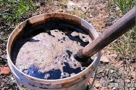 攒下来的尿液这样发酵，肥效翻倍，老农常用的两个方法图片