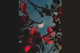 泰语知识｜|泰语同义词、近义词词汇（二）图片