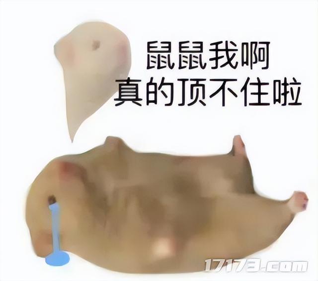 太癫了！千万玩家集体「指猫为鼠」，还成了腾讯王牌游戏的新宠儿