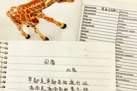 朦胧诗欣赏 北岛 《回答》图片