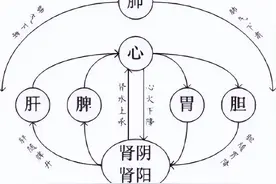 中医治病的精髓：气机升降与五行！（附：脾胃中宫心法）图片