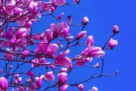 自己的头条真不可删，不然你会后悔图片