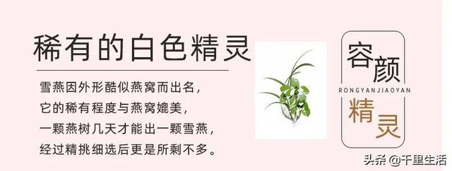 花胶雪燕果冻的做法 花胶雪燕果冻的做法窍门