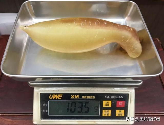 鱼胶价钱按克算的吗 2025年鱼胶一克多少钱