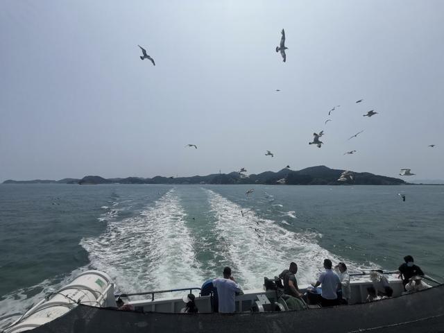 大连长海县大长山岛自驾旅游攻略暨游后总结