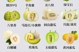 又到夏日吃甜瓜的季节了！附常见甜瓜及品种说明图片