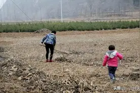 土地承包到期，三轮承包将一户一田？承包地打乱重分，你支持吗？图片