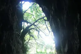 广州南沙，有个传说中的藏宝洞——张保仔洞，一起来探秘图片