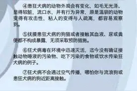 被猫抓伤用打疫苗吗？图片