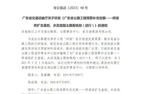 广东预算补充定额-桥梁挤扩支盘桩、水泥混凝土路面铣刨（试行）图片