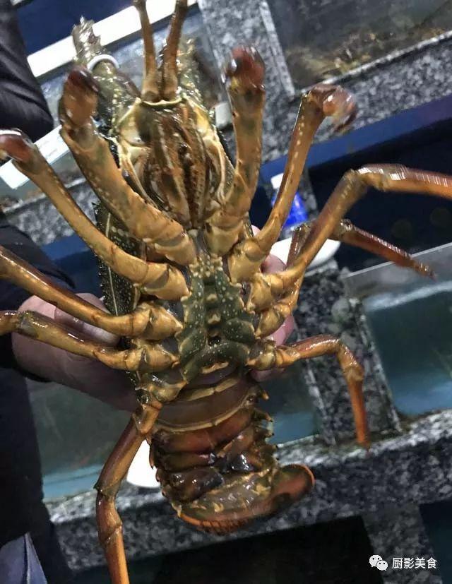 40头的花胶是几级 2025年花胶40头是什么意思?