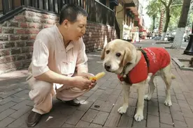 冰城第一只持证上岗的导盲犬现在咋样了？ “盲爸”修军权：我和宝莉的这五年图片