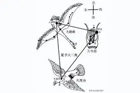 【科学向日葵】天文课堂 | 认识夏季星座（二十四）——天鹅座图片
