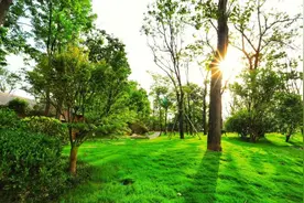 入选全国精品线路！在家门口体验秦风秦韵图片