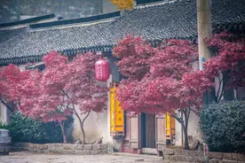 8首诀别诗词，首首经典，一不小心就成为千古名句图片