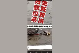 从青岛侯静父女的命运看民间中医的噩运图片
