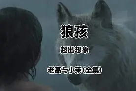 【神奇的大自然】被狼养大的人 | 老高和小茉合集图片