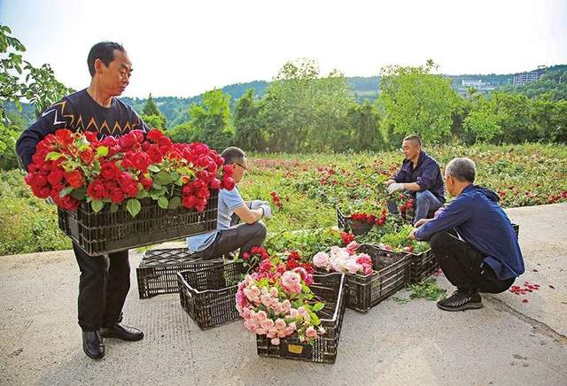 四川省民生研究会新媒体中心-官网