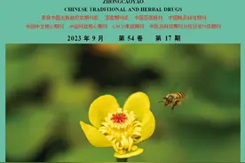 药食同源中药罗汉果的发展态势图片