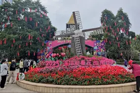 荷兰花卉小镇，真的很适合约会、遛娃！图片