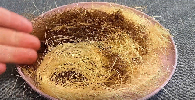 玉米须加水煮一煮,作用厉害了,很多人都不懂,先收藏了