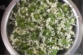 腌韭花酱，只放盐容易坏，母亲说多加3样，翠绿又鲜美，能放1年图片